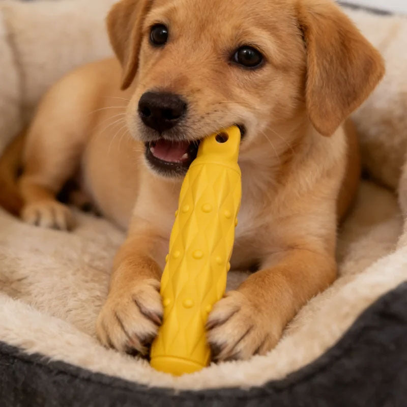 Indestructible Dog Chew Toys | Rope-Free Eva Molar Sticks, Large & Safe