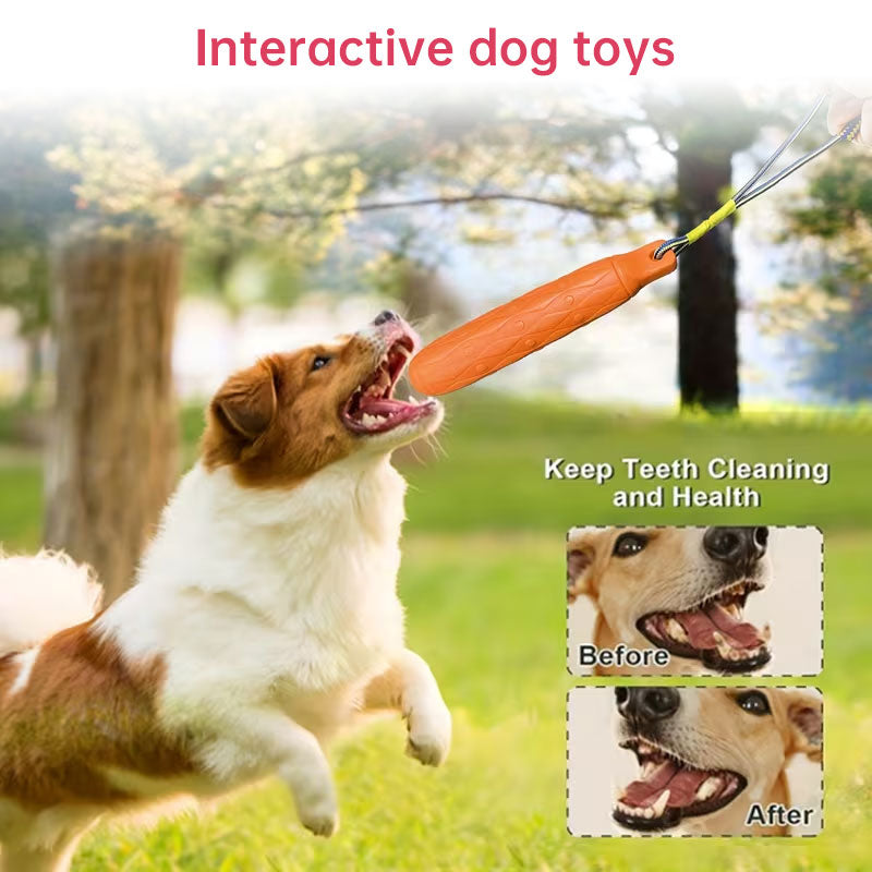 Indestructible Dog Chew Toys | Rope-Free Eva Molar Sticks, Large & Safe