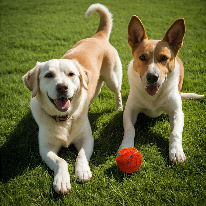 E-TPU Interactive Dog Toy Ball – Chew-Proof, Spinning & Bouncing Self-Play Ball for Active Pets